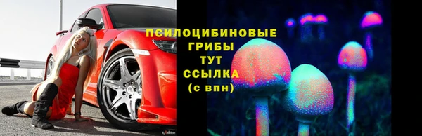 гидра Алексин