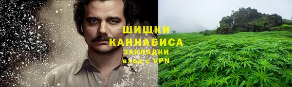 гидра Алексин