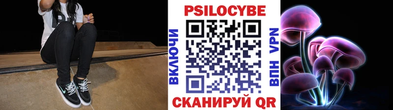 купить наркотик  Энгельс  Псилоцибиновые грибы Psilocybine cubensis 