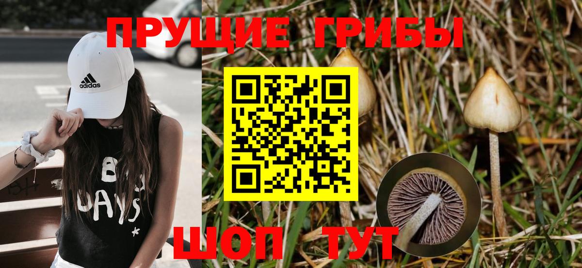 Псилоцибиновые грибы прущие грибы  Галлюциногенные грибы Cubensis  Энгельс  Вход с VPN 